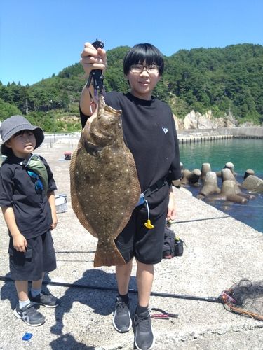 ヒラメの釣果