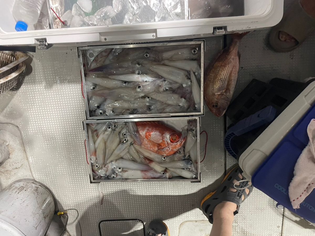 田畑良朗@なつき丸さんの釣果 2枚目の画像