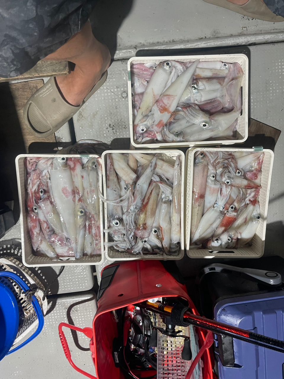 田畑良朗@なつき丸さんの釣果 3枚目の画像