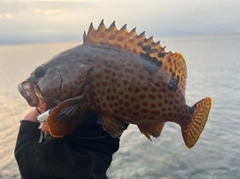 ノミノクチの釣果