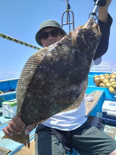 ヒラメの釣果