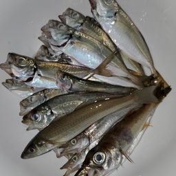 アジ