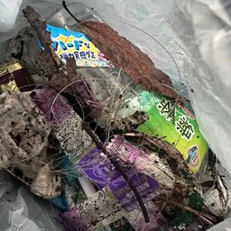 ブラックバス