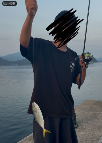 ツバスの釣果