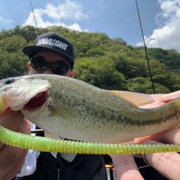 ブラックバス