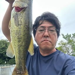 ブラックバス