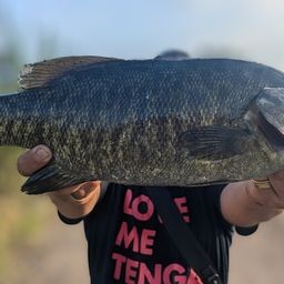 スモールマウスバス