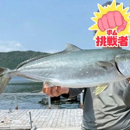 ヒラマサ