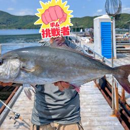 カンパチ