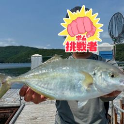 シマアジ