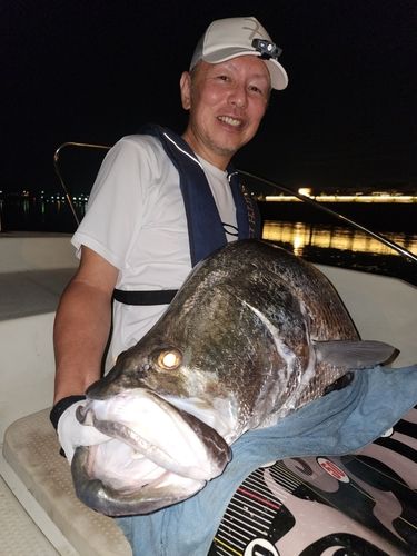 アカメの釣果