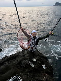 シブダイの釣果