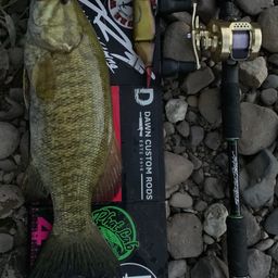 スモールマウスバス