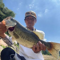 ラージマウスバス