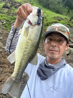 ラージマウスバスの釣果