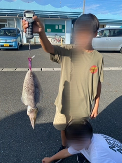 モンゴウイカの釣果