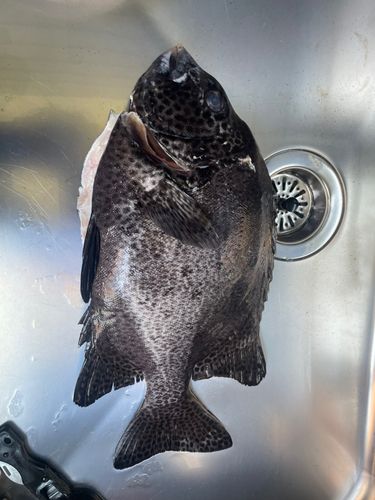 久礼湾