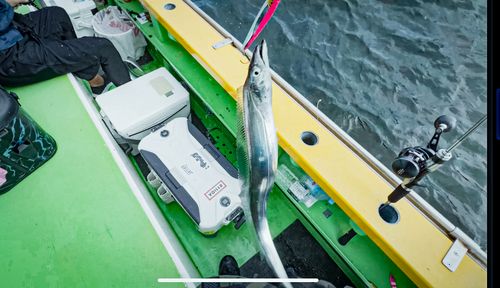 タチウオの釣果
