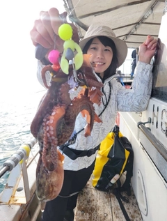 タコの釣果