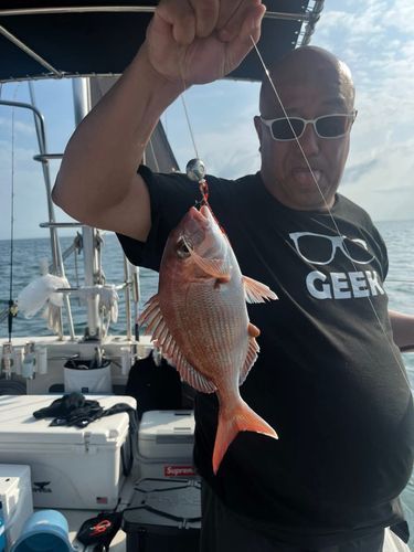 タイの釣果