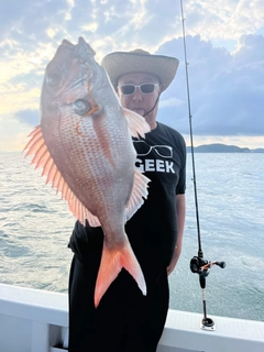 タイの釣果