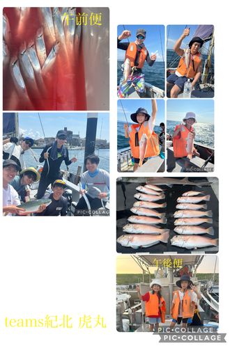 シロアマダイの釣果