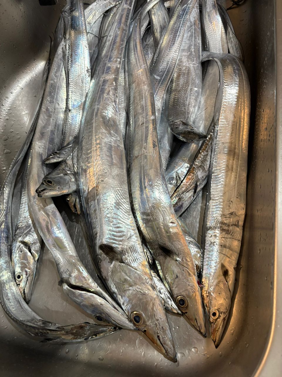 naofjunaoさんの釣果 3枚目の画像