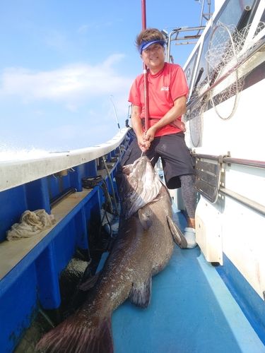 イシナギの釣果