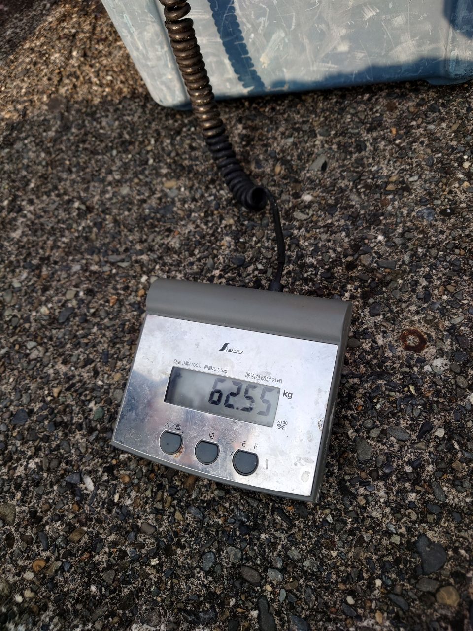 HIDECKEYさんの釣果 2枚目の画像