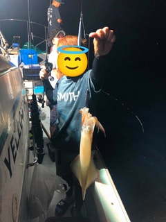 ケンサキイカの釣果