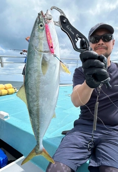 イナダの釣果