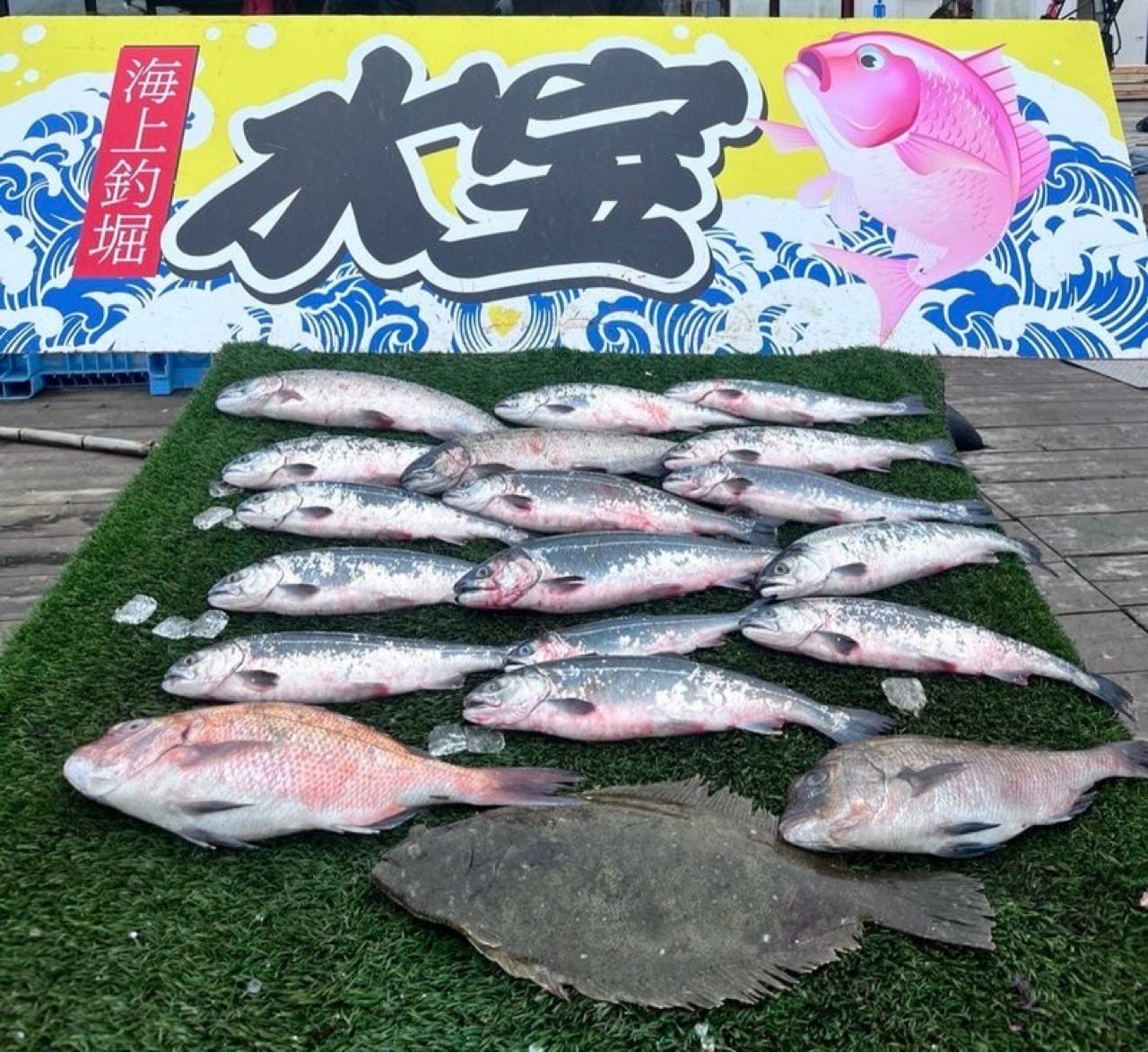 トラウトサーモン