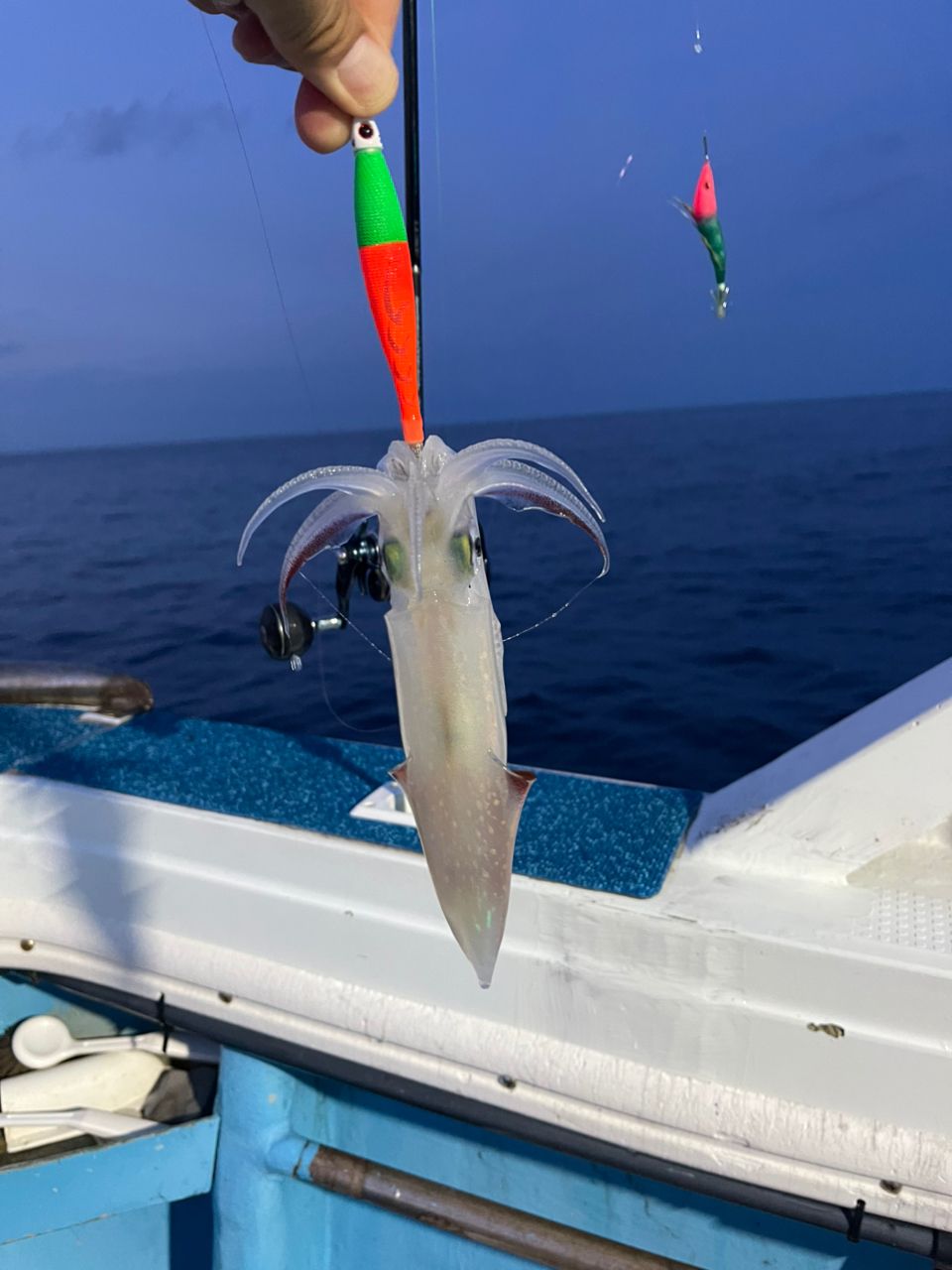 夏風邪さんの釣果 1枚目の画像