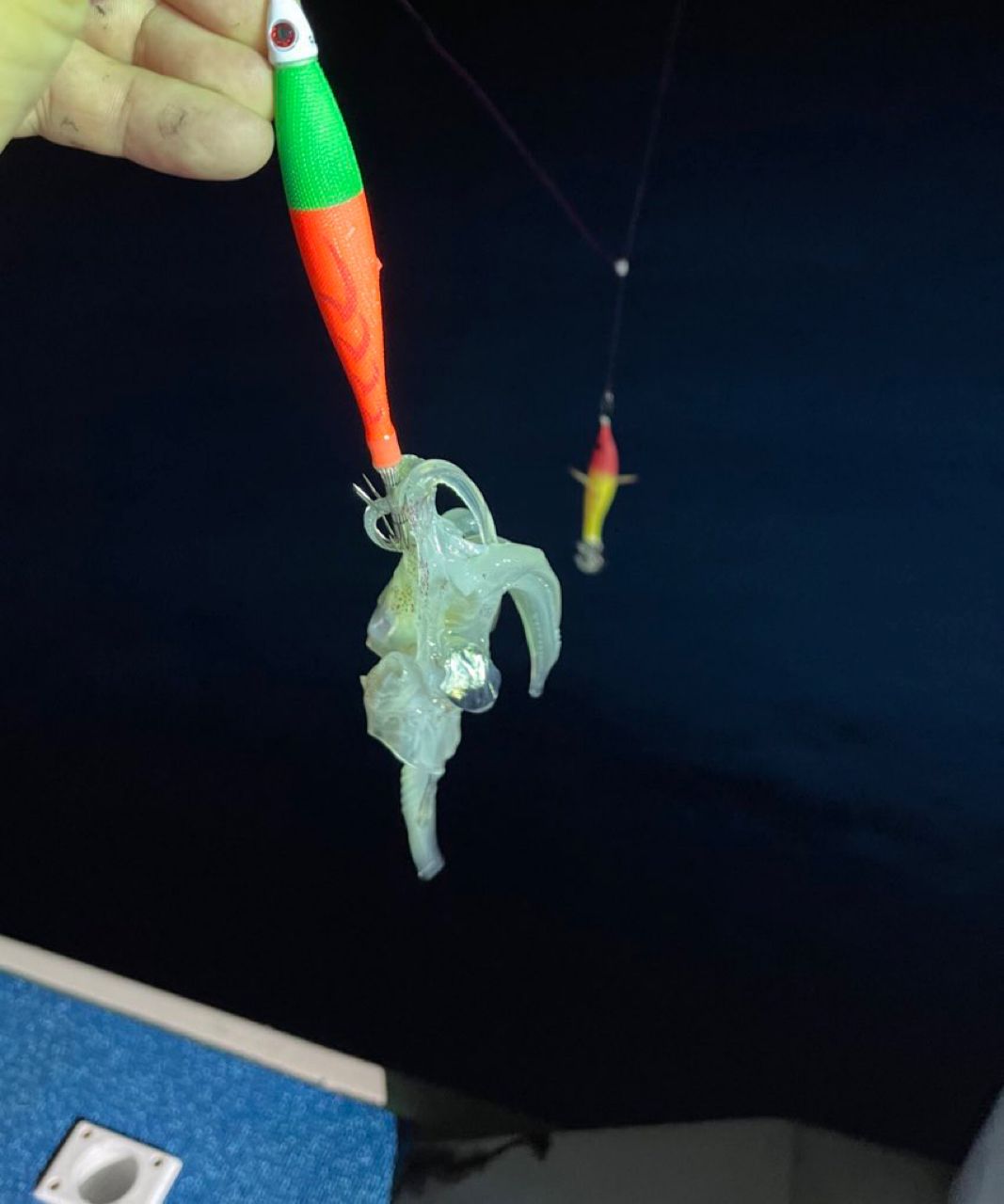 夏風邪さんの釣果 3枚目の画像