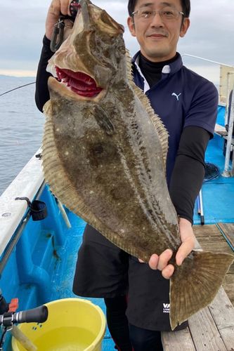 ヒラメの釣果