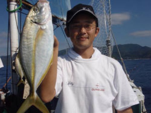 シマアジの釣果