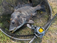 釣果