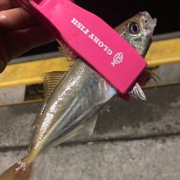 アジ