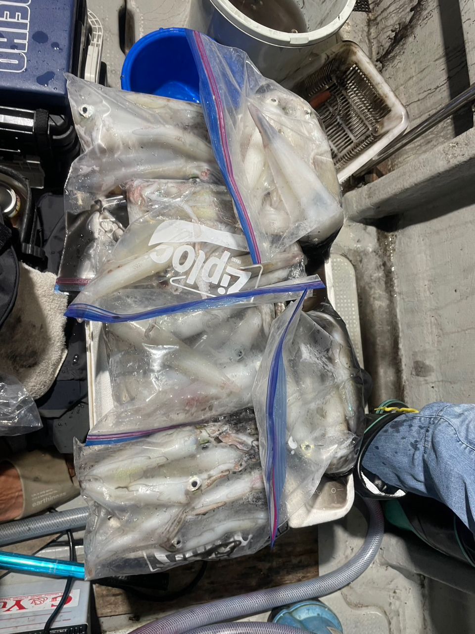 田畑良朗@なつき丸さんの釣果 2枚目の画像