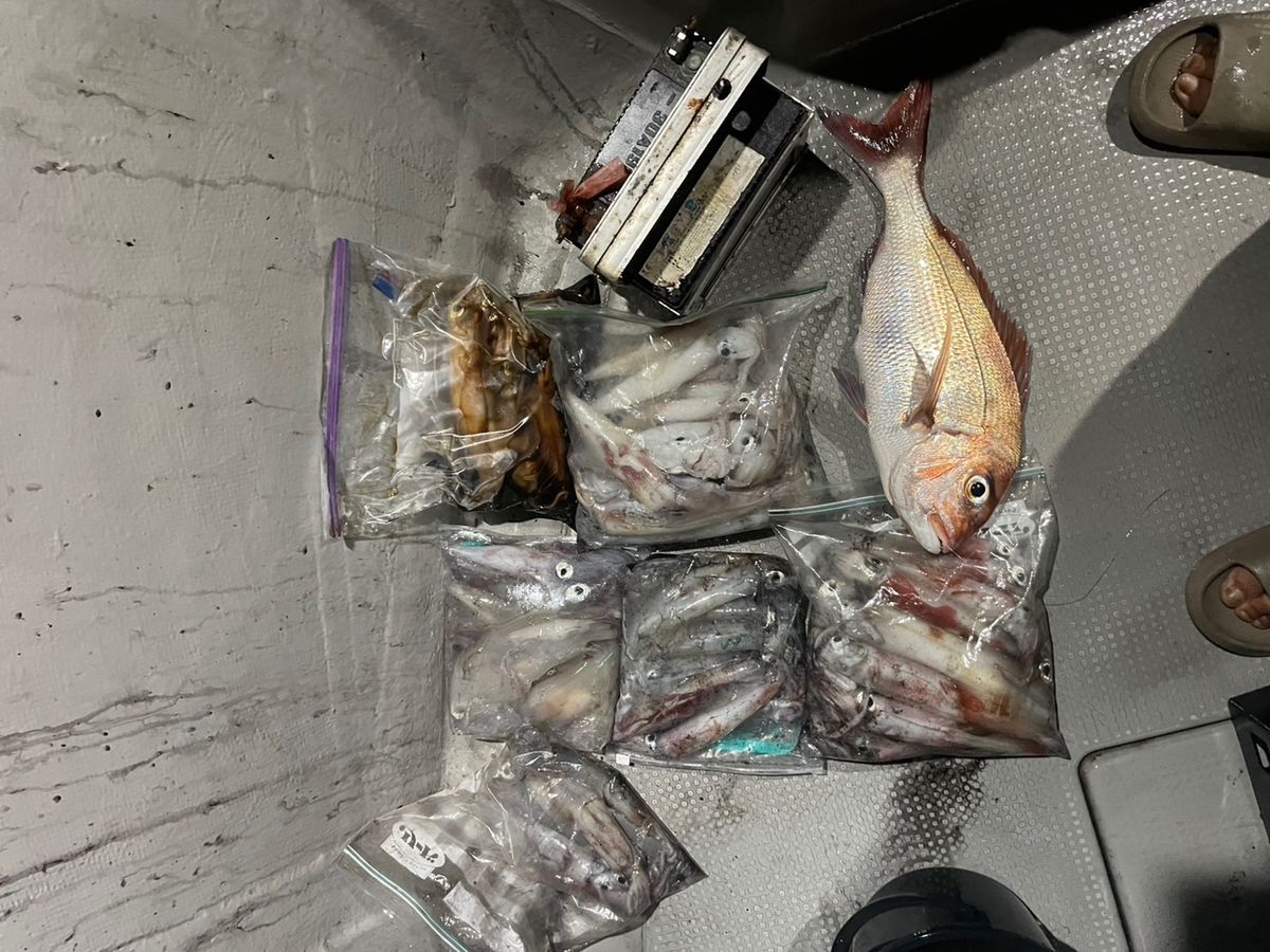 田畑良朗@なつき丸さんの釣果 3枚目の画像