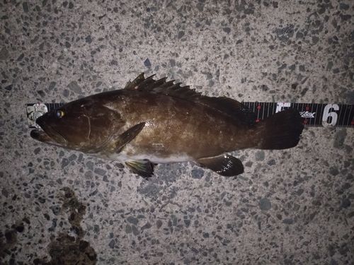 クエ