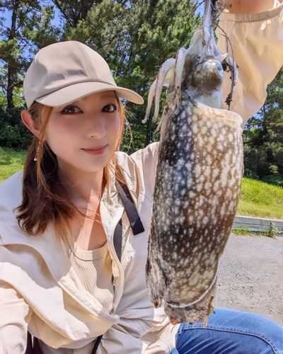 東京湾（アクアライン〜富津）の釣果・釣り場情報【2025年最新