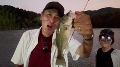 ブラックバスの釣果