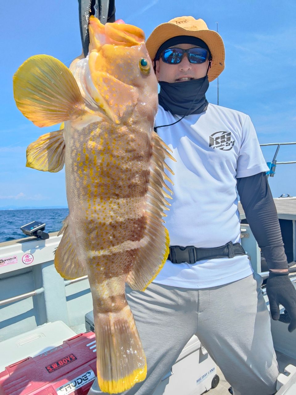 K’s@忠岡漁港さんの釣果 2枚目の画像