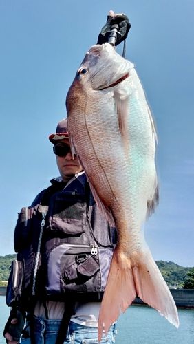 堀江湾