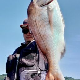 タイ