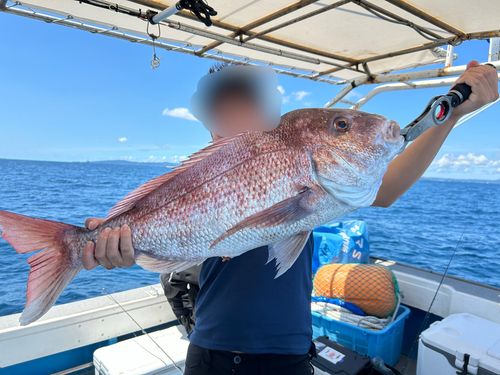 タイの釣果