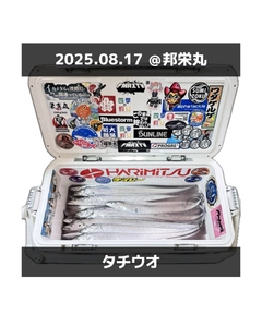 タチウオの釣果