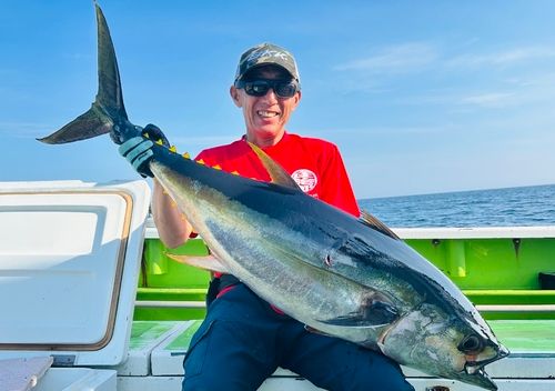キハダマグロの釣果