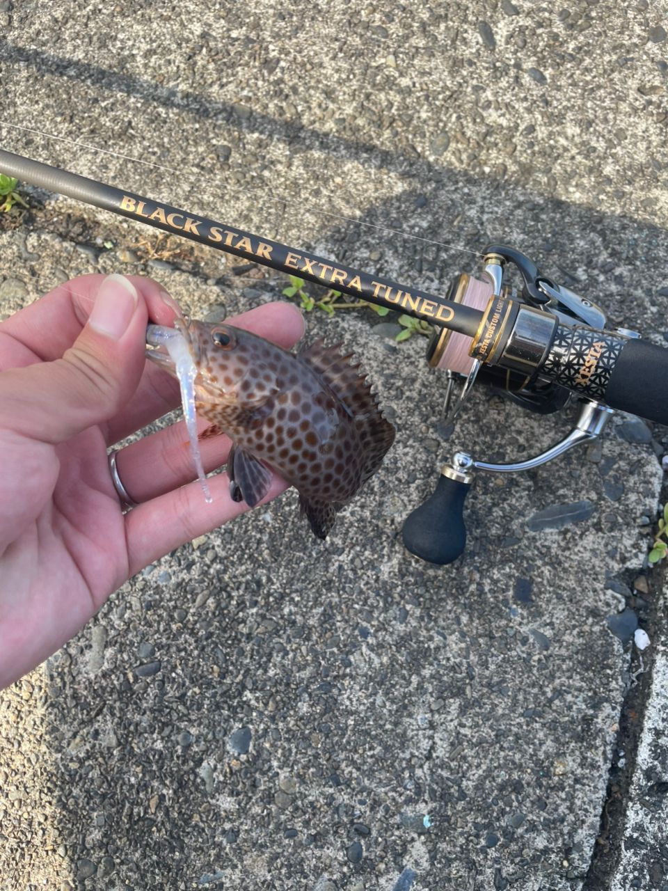 DAIWA LUVIAS FC LT2500S-XH リール ダイワ ルビアス FC LT2500S-XH (リール) 価格比較 - 価格.com